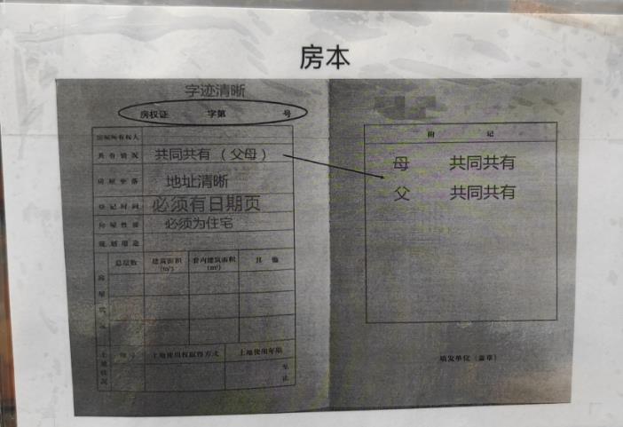 新10.jpg